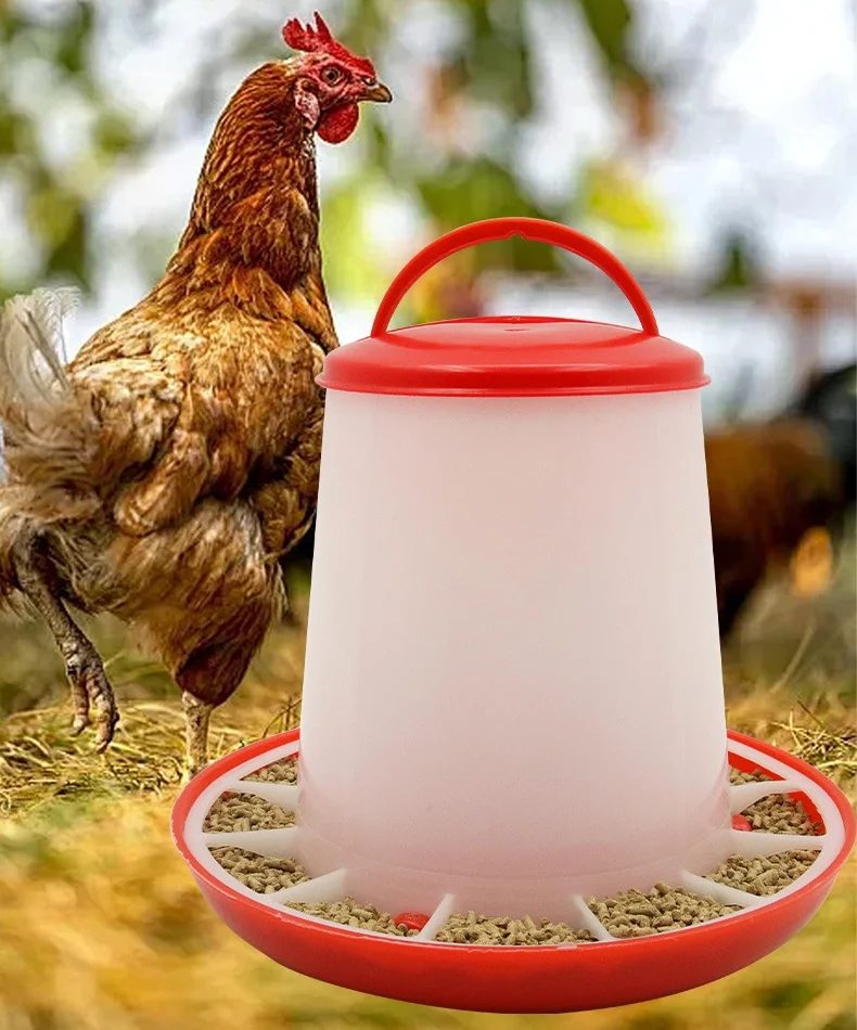 Factory Sale Strong And Durable Thickened Mesh Poultry Feeding Equipment Birds Pigeon Quail Chicken Automatic Poultry Feeder