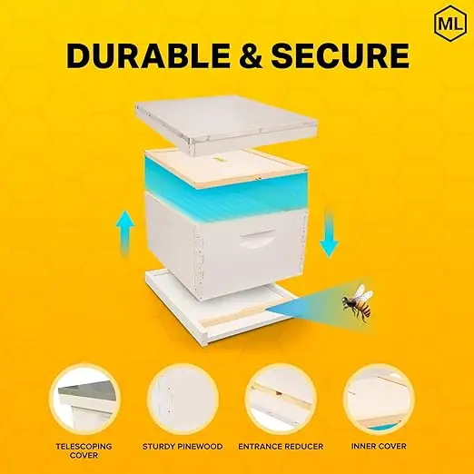 Durable Weather-Resistant Fully Assembled Beginner-Friendly Beekeeping Hive Starter Set Hive Body 10 Frames