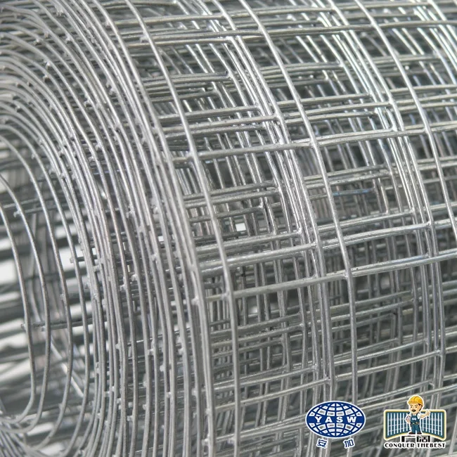 Best price high quality electro galvanized metal mesh roll welded wire mesh
