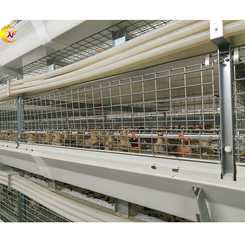 Ручное оборудование для птицеводства типа H продукция автоматическая клетка бройлеров куриная