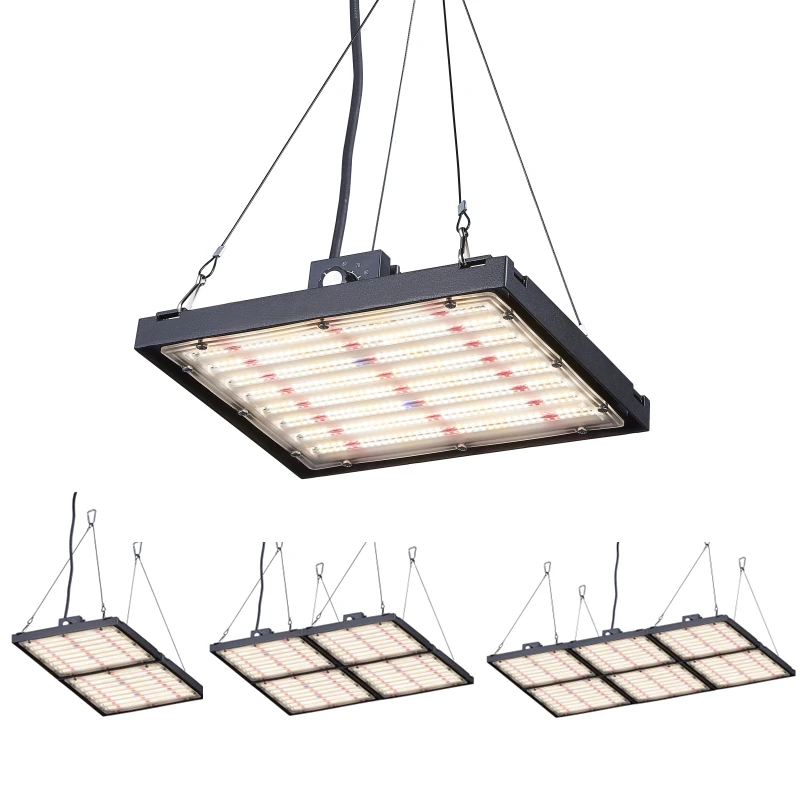 2021 Newest Design 150 480 Watt Quantum CE ROHS For Vertical Farming Horticulture