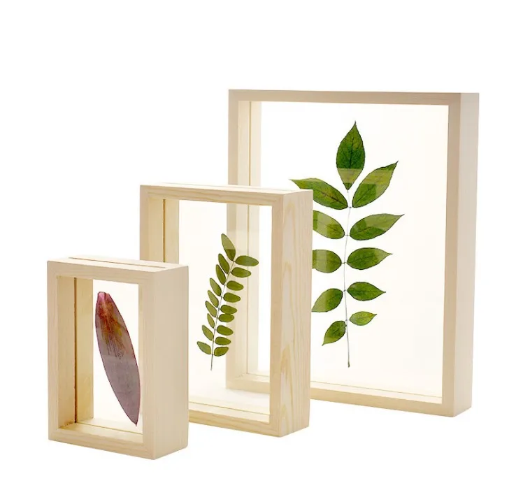 wooden double-sided glass insect plant specimen frame diy dried flower log three-dimensional picture