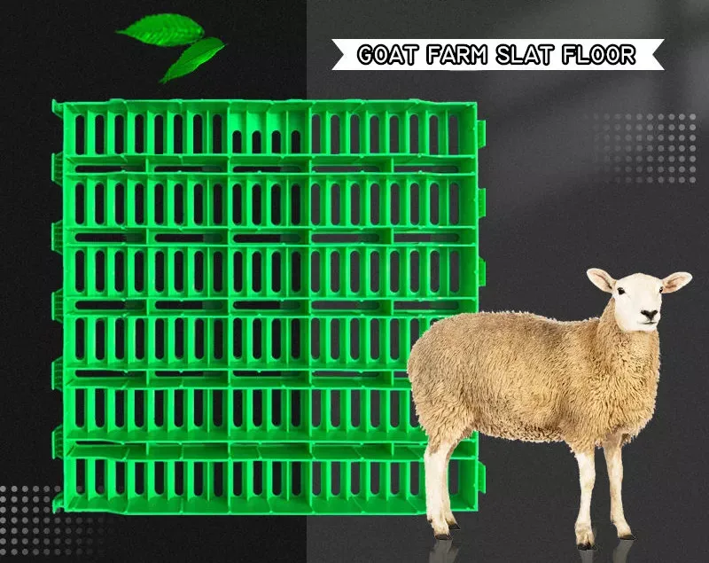 Pig Farming Equipment Pig Farm Equipment Plastic FlooringSheep Farm Equipment Goat Flooring