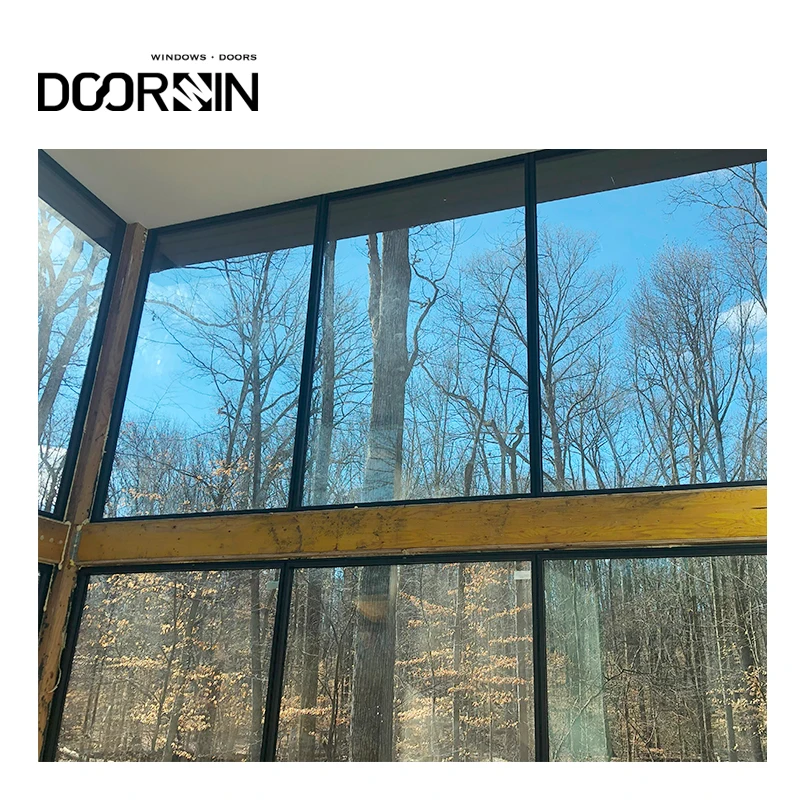 Doorwin Residential Delaware USA Project Hot Selling Maximize Light Narrow Frame Aluminum And Glass Windows
