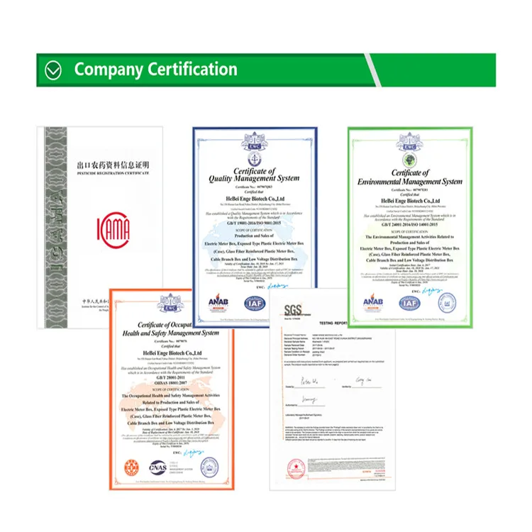 company certificaton_