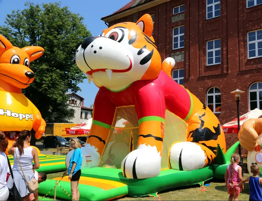 New design hot sale beautiful and impressive swimming pool with ball, inflatable tiger jumping castle