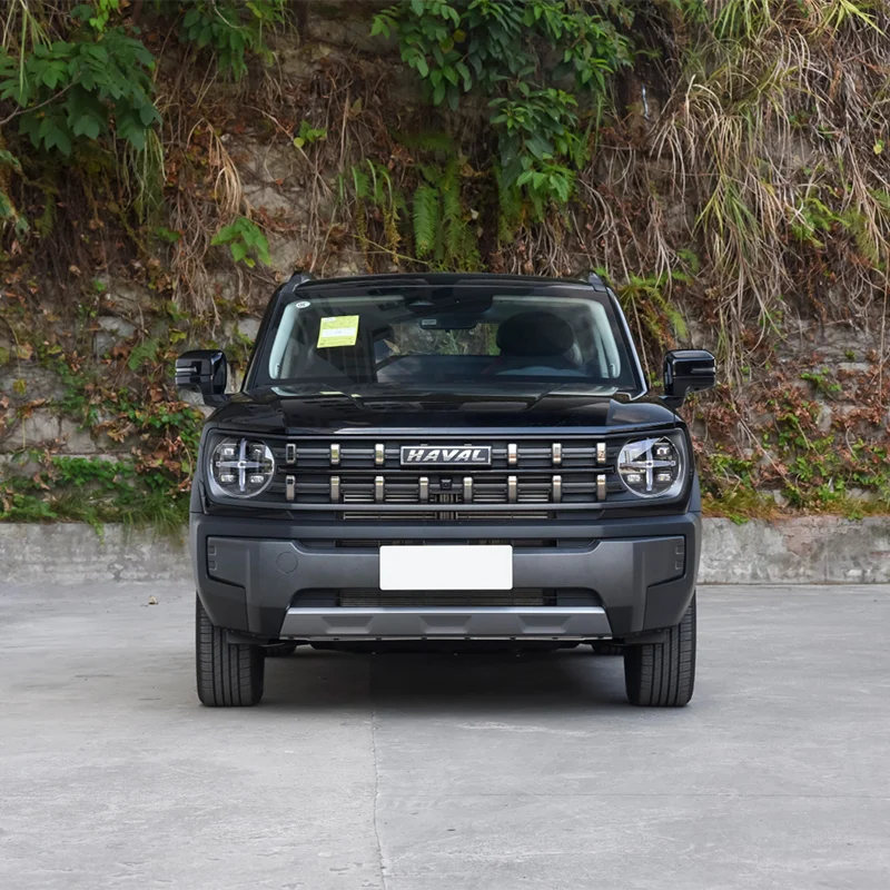 Made in China 2022 Hot Selling New Car Used 1.5T, 150 horsepower, L4, 5 doors, and 5 seats, Popular Fuel Brand SUVAVAL Cool Dog