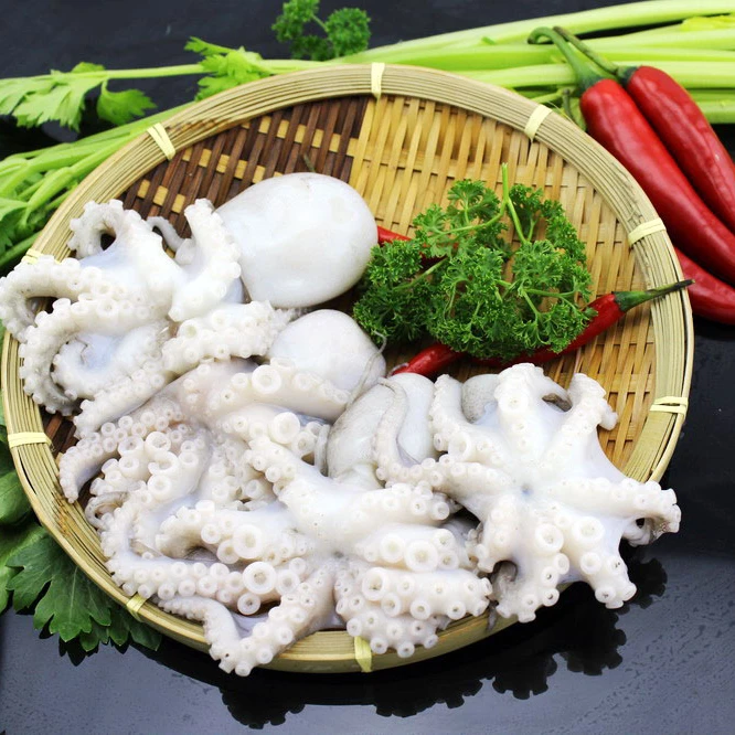 
Fresh seafood clean octopus baby octopus top quality octopus 
