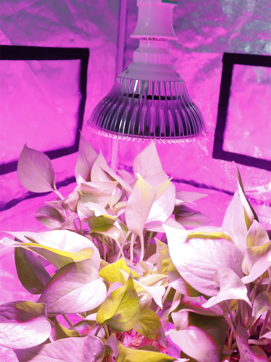 250W Grow Light Full Spectrum Indoor LED Growing Lamps AC85-277V Plant Growth Lighting for Plants Flowers Seedlings Cultivation