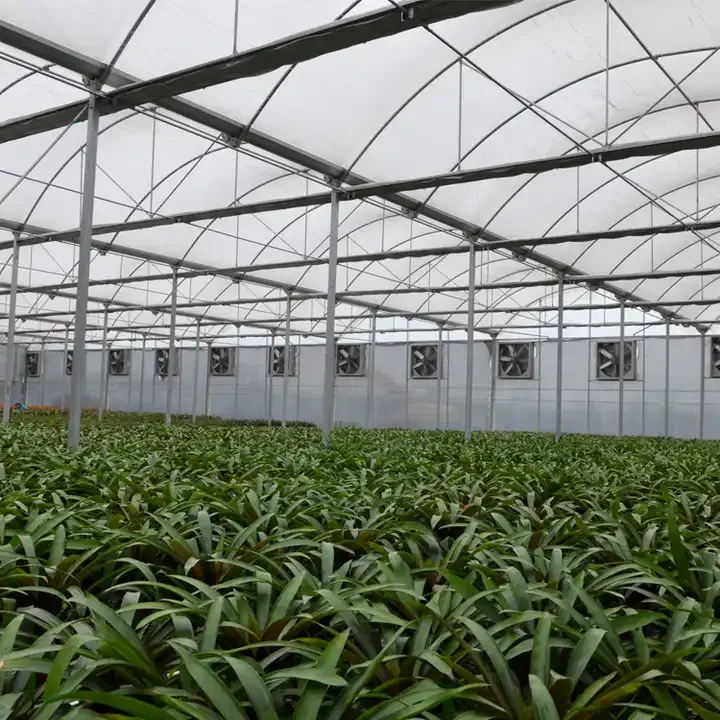 Portable Modular polycarbonate Winter Garden Gazebo Prefab Greenhouse Insulated Walk In Cheap