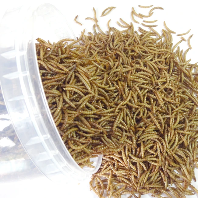 
Healthy Edible 300g Bird Food Dried Mealworms with High Protein 