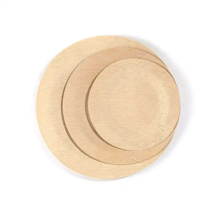 Factory Outlet Eco-Friendly 100% wooden disposable plate disposable fruit plate disposable party tableware