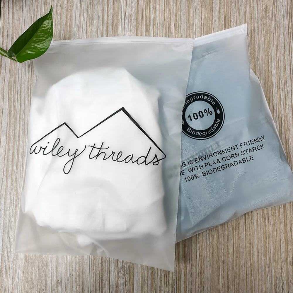 Custom Logo Printed Underwear Frosted Zip Lock Clothing Packaging Matte Black Nude Pink Plastic bag Zipper