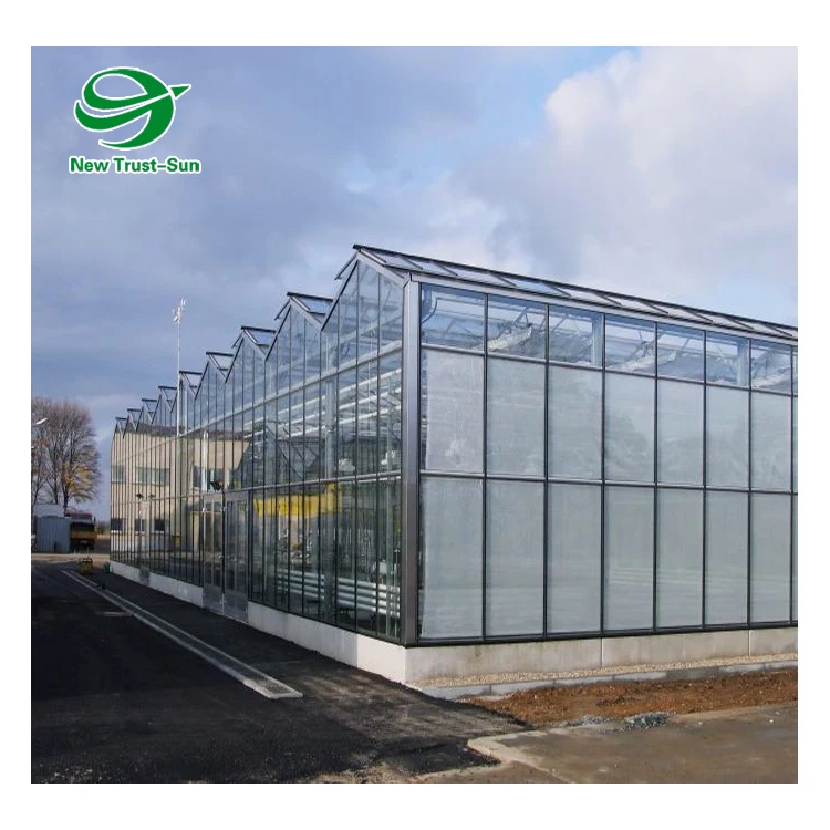 
Agricultural Vegetable Intelligent Glass Greenhouse with Hydroponics System Price 