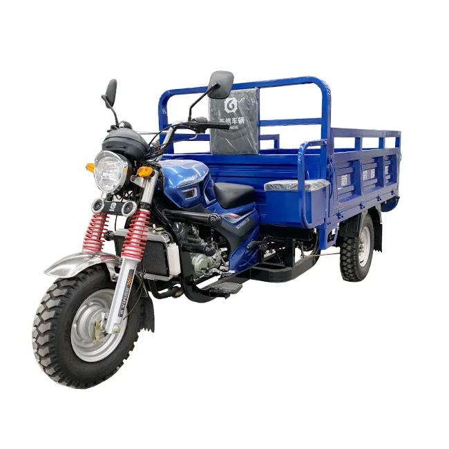 New arrival petrol cargo tricycle trike with plastic cabin for sale