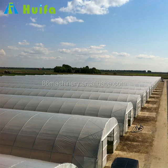 Tomato Tunnel Plastic Film Hydroponics Commercial Mini Agricultural Greenhouses for Sale