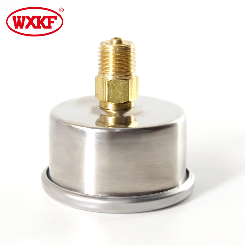 china YN40series  bottom connection Shockproof pressure gauges