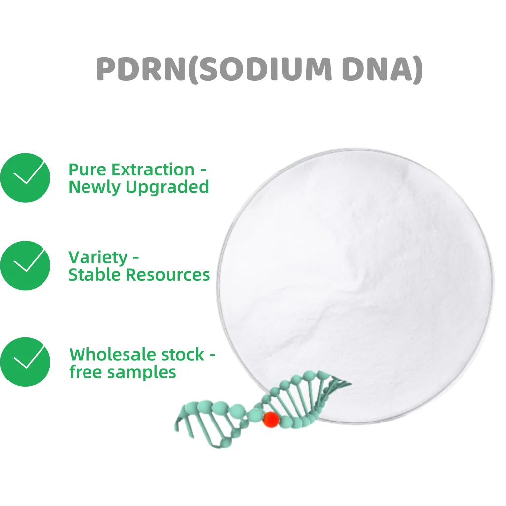Cosmetic Grade SkinCare DNA Salmon PDRN Polydeoxyribonucleotide Powder Cas100403-24-5 for for Anti Aging Skin Rejuvenation