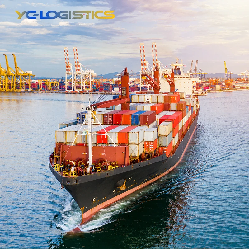 Top 10 Professional Freight Forwarding Agent Sea Ocean Shipping China To Canada by DDP No reviews yet