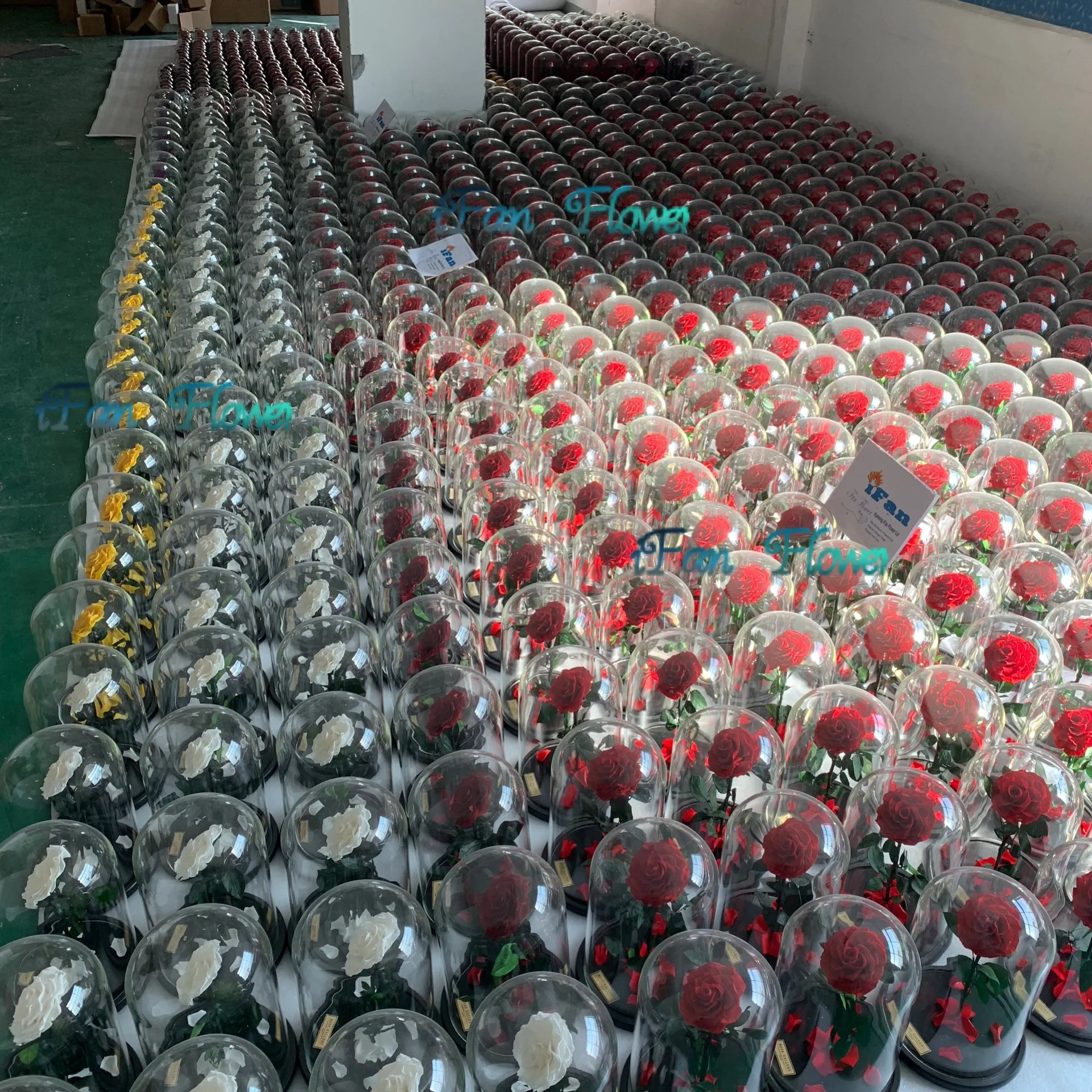 New coming promotional wholesale real rose preserved roses flower in glass dome