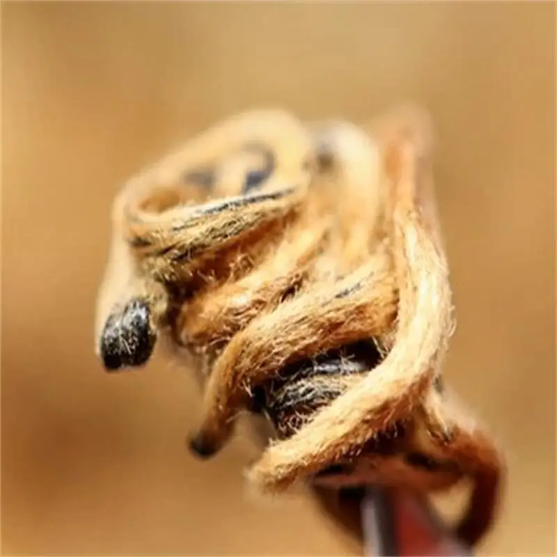 Hong Jin Luo Yunnan Black Tea