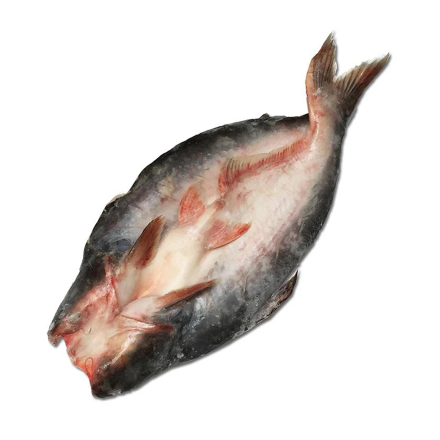 
China Frozen Organic Tilapia/Frozen Basa Fish Fresh 