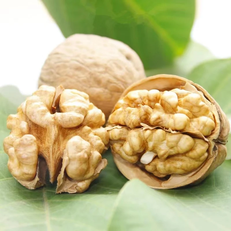 Brown Raw Cashew Nuts Dry Eat China Raw Walnut Peeled Raw Plastic Bags Trail Mixed Nuts and Dried Fruits Special Grade Raw Shell