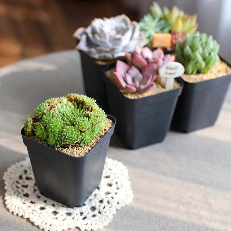 Садовые принадлежности пластиковый горшок для растений с блюдцем декоративный цветочный