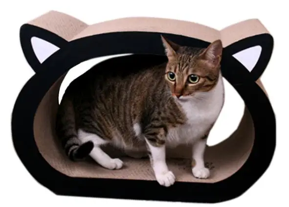 
Interesting Cultivate Feeling Cat Toys Wood at Home 