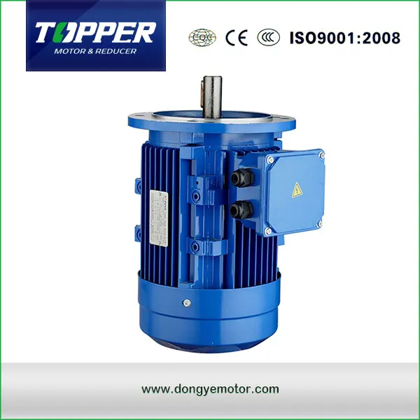 TOPPER MS Series Three Phase Electric Motor