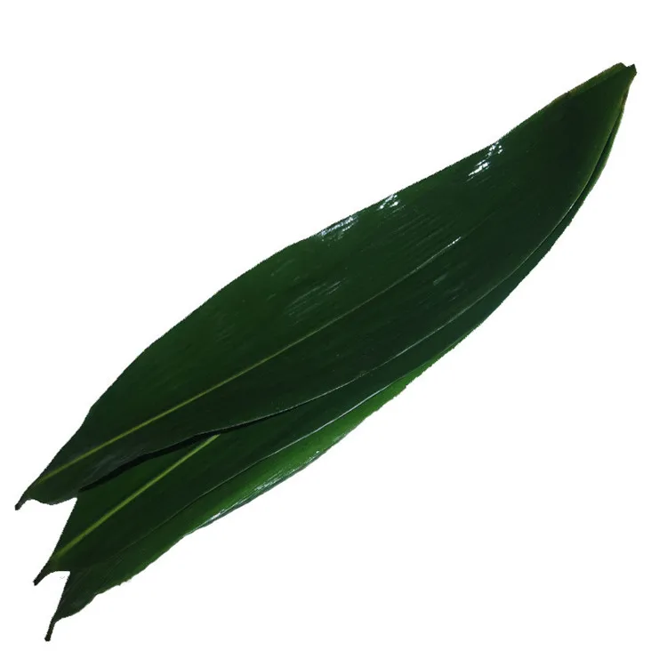 Food contact safety nature fresh zongye bamboo dry leaf