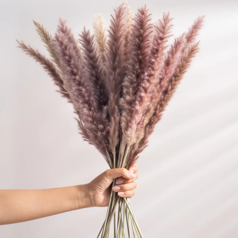 Dried Pampas Grass Decor Flowers Bouquet Pompass Grass Branches/ Pompous Grass For Flower Arrangements Wedding Home Decor