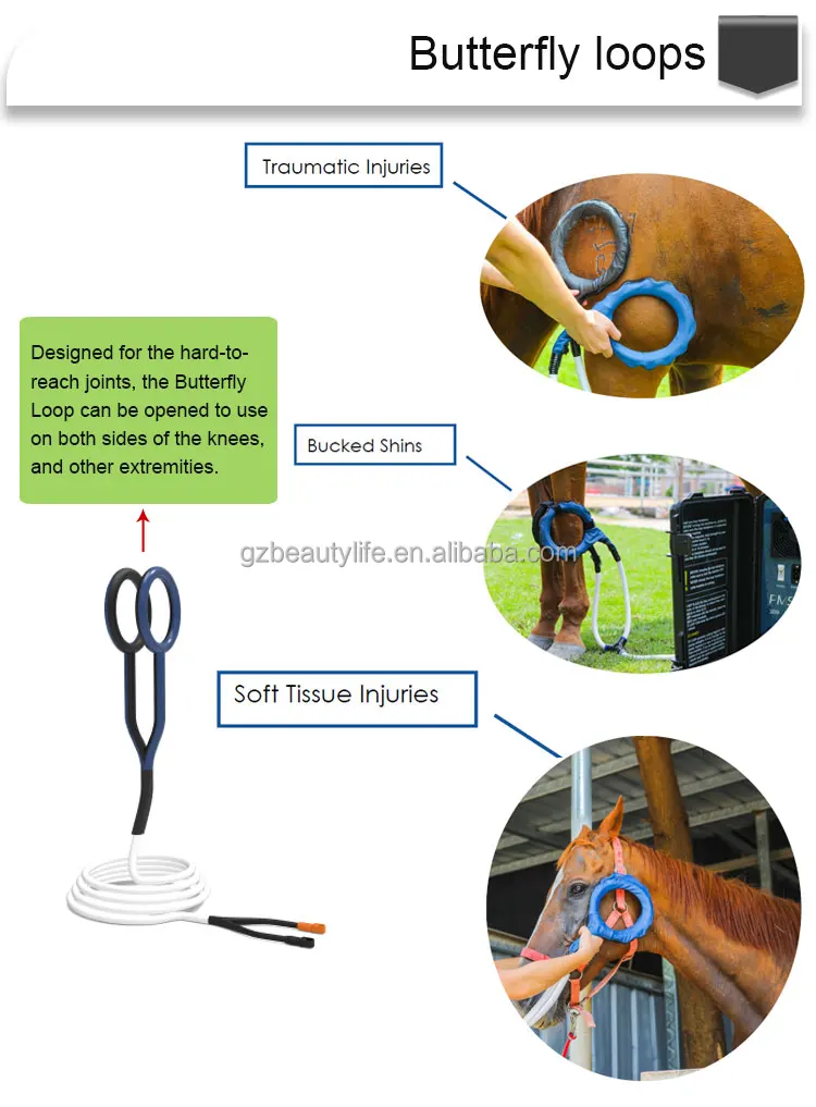 pmst loop (5).jpg