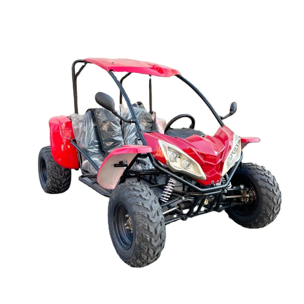 LNA race version 200cc go karts gasoline for adults