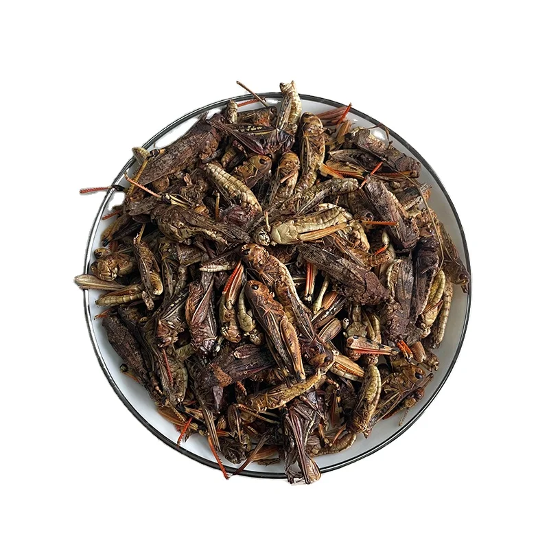 100% чистое мясо без искусственного цвета сушеный Кузнечик для домашней ящерицы
