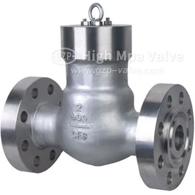 Check Valve