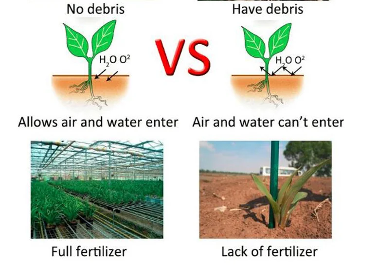 Multi-span glass greenhouse planting vertical farming Nft hydroponic system for tomato lettuce growing