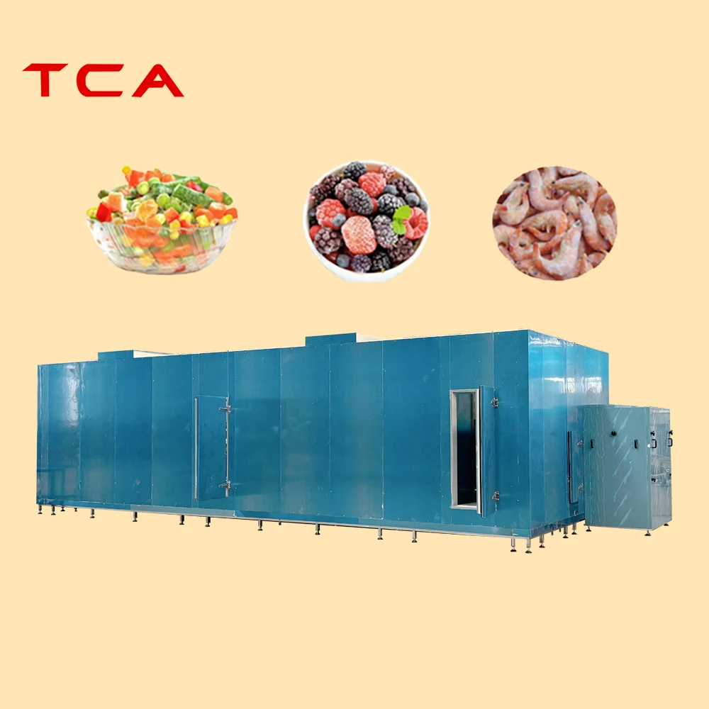 TCA 300kgh 200kgh 100kgh individual quick freezer SUS 304 fruit freezer CE vegetable freezer