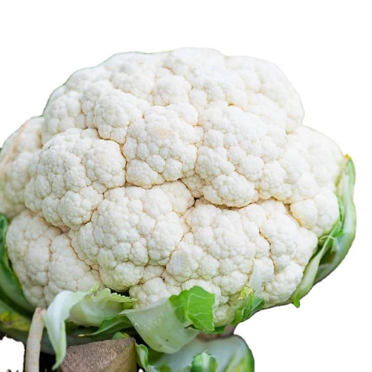 High Quality Fresh Cauliflower Available