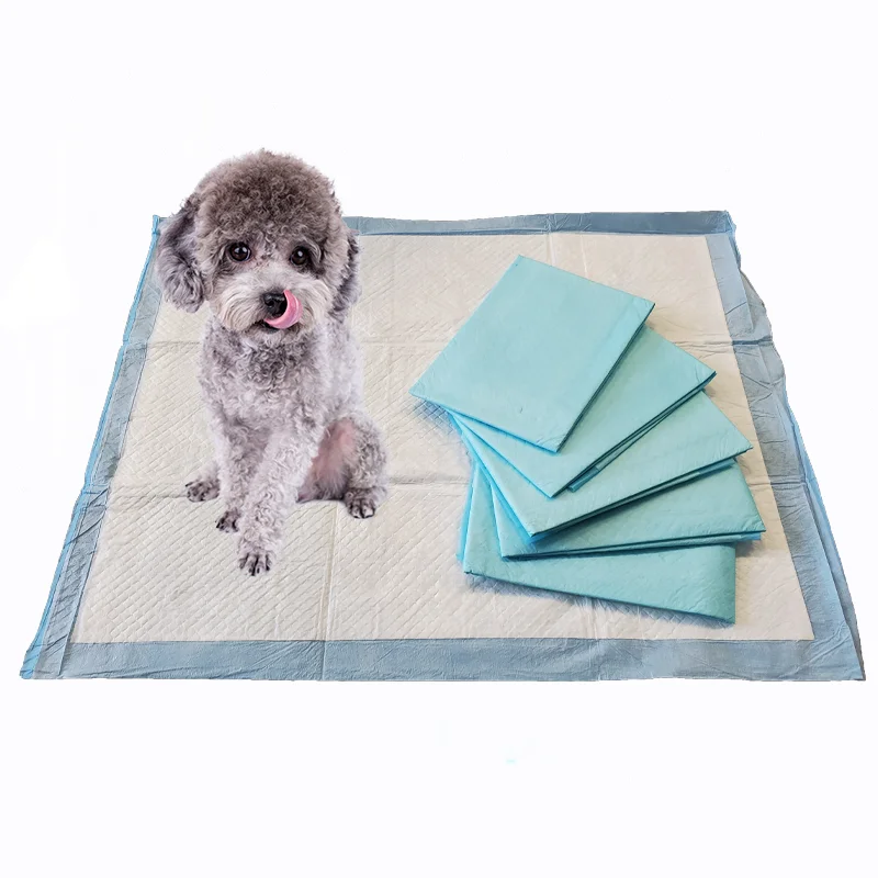 pet pee pad Cheap price free sample wholesale disposable puppy  training pad