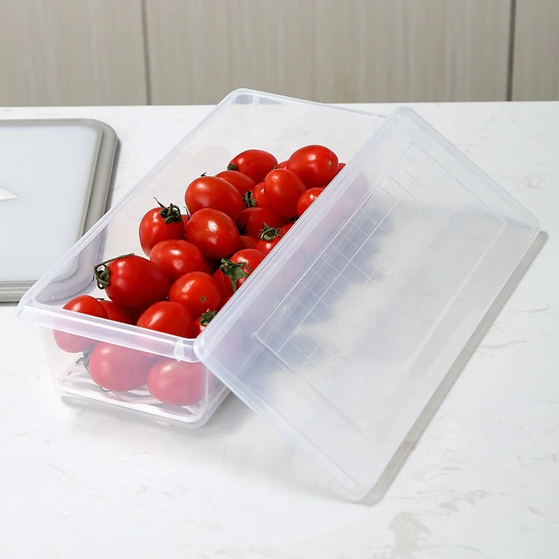 Household rectangle flat fish fruit fresh storage box kitchen organizer transparent plastic refrigerator food container