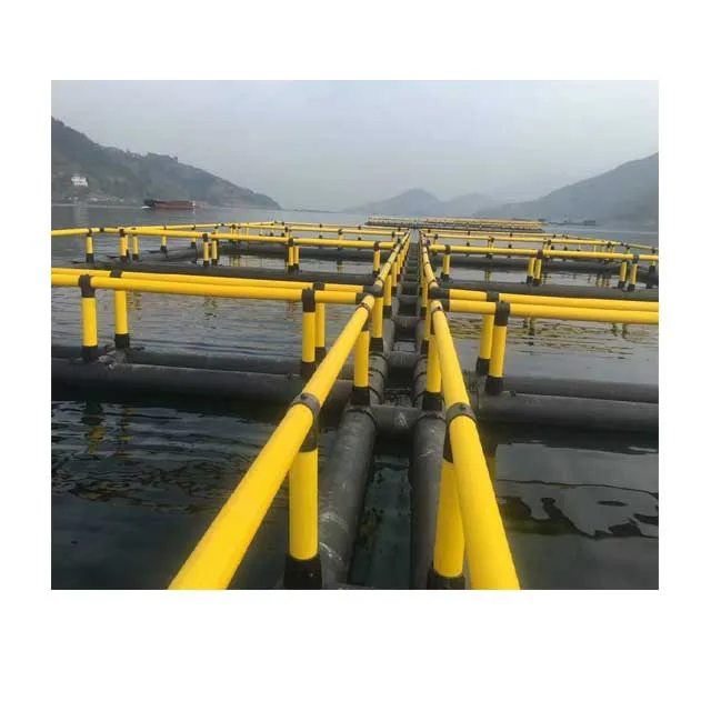 2022 durable hdpe  Aquaculture Traps Fish Farming Cage Float  Lake Albert