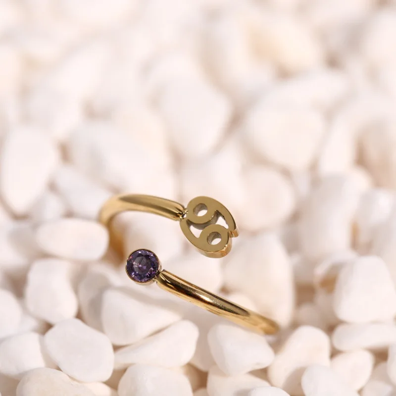 18k gold plated 12 birthstone pave stainless steel adjustable zodiac open rings for women