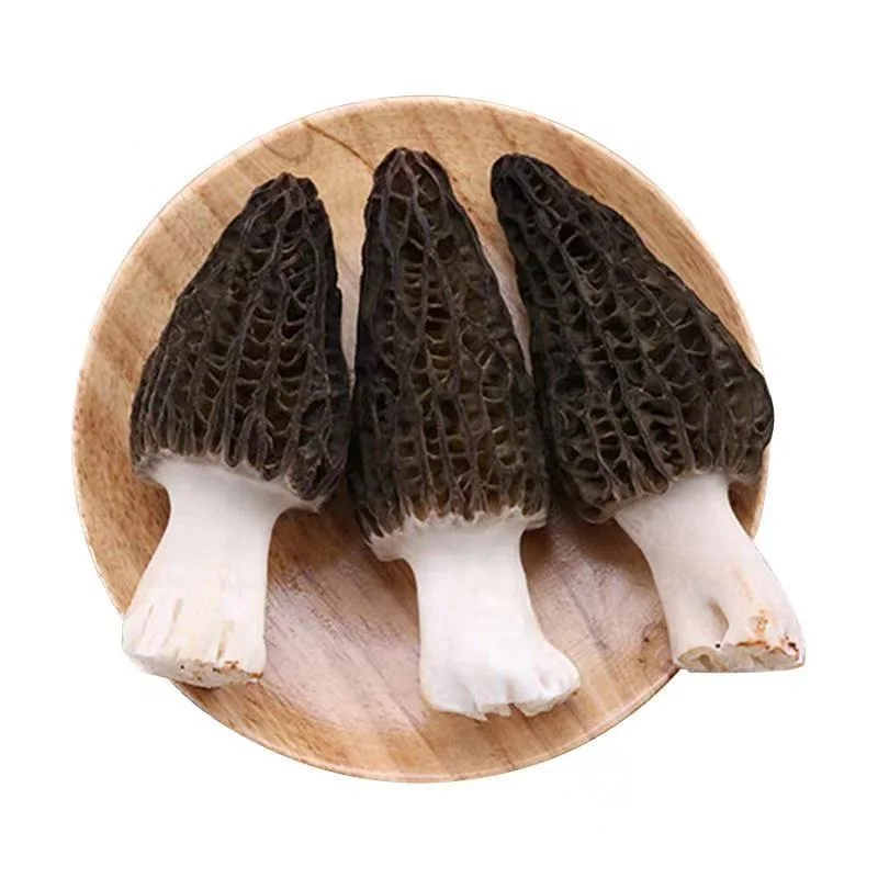 Factory Hot Sale Delicious Organic The Fungus Mushroom Frozen Morels morille mushrooms organic dried morels mushroom