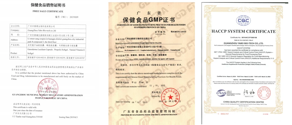 
Halal biscuits and cookies oem slimming biscuit 