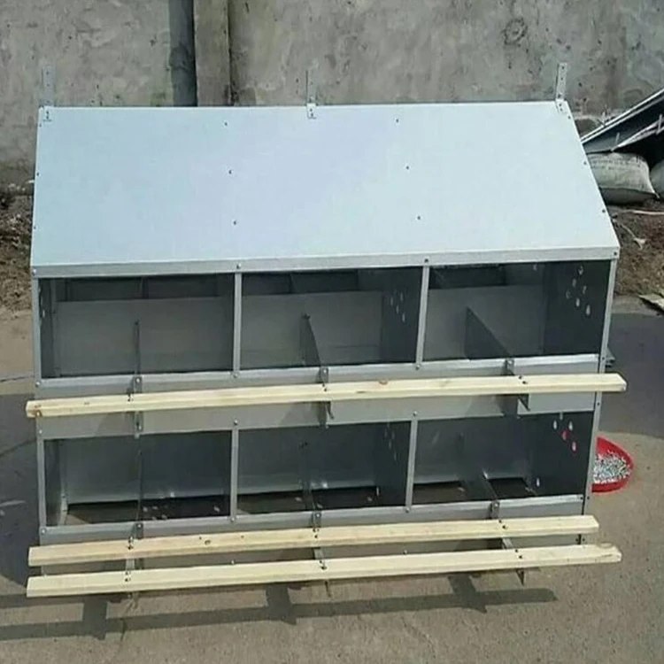 Poultry Equipment 12 Holes Metal Chicken Egg Laying Nest Box Hot Galvanized Sheet Chicken Nesting Box