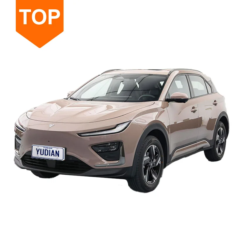 china pro automobile port charge air lite 500 700 km plus neta x Luxury New Energy Electric Suv Cars Vehicles