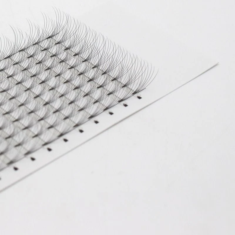 Premade Fan Lashes Russia eyelash 0.07 0.10 long steam lashes with logo