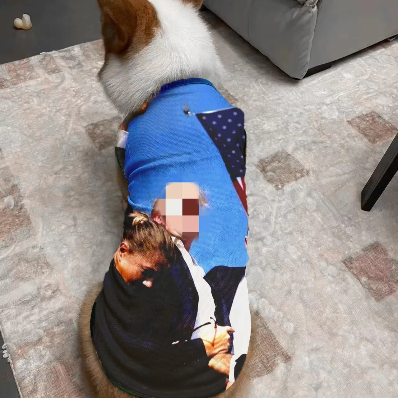 Fan Gifts US 2024 Hot Sale Makes America Strong Again , Same Dog Clothes