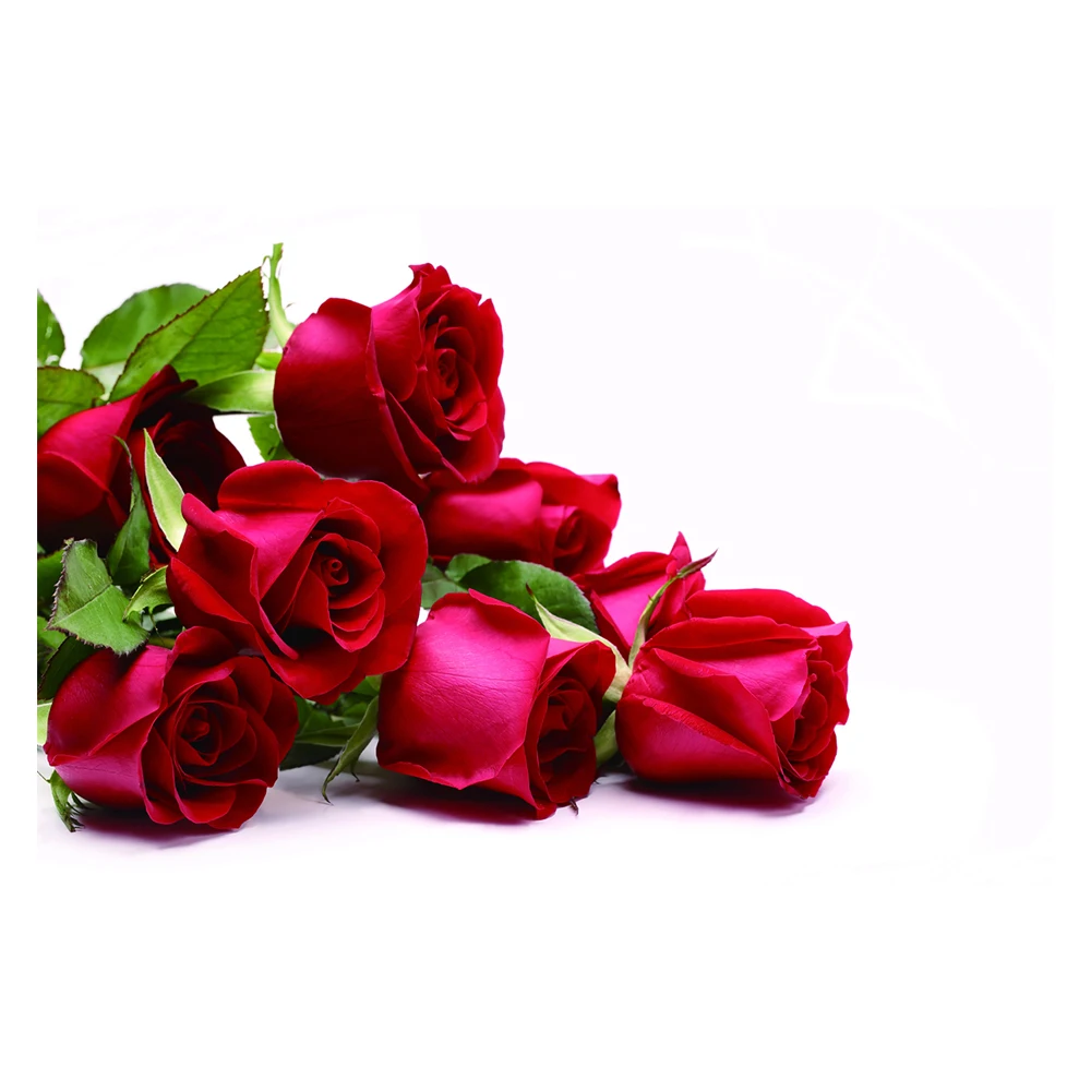 Wall art printing Interior Design No Stretch Realistic Romantic Red Rose Flower Wall Painting